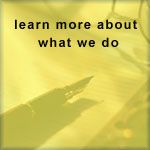 supply chain questions